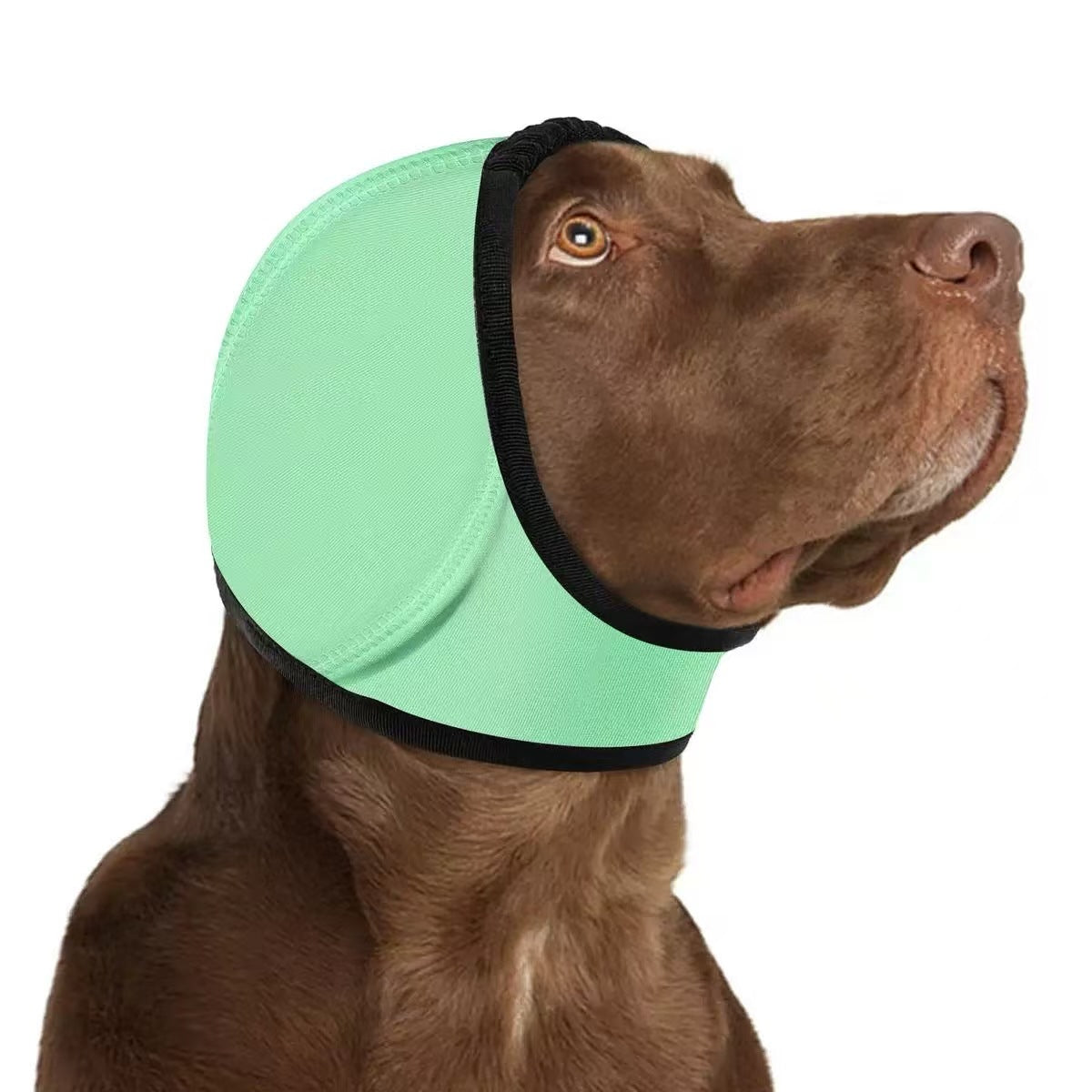 Dog Calming Ear Muffs – Help Ease Noise Anxiety